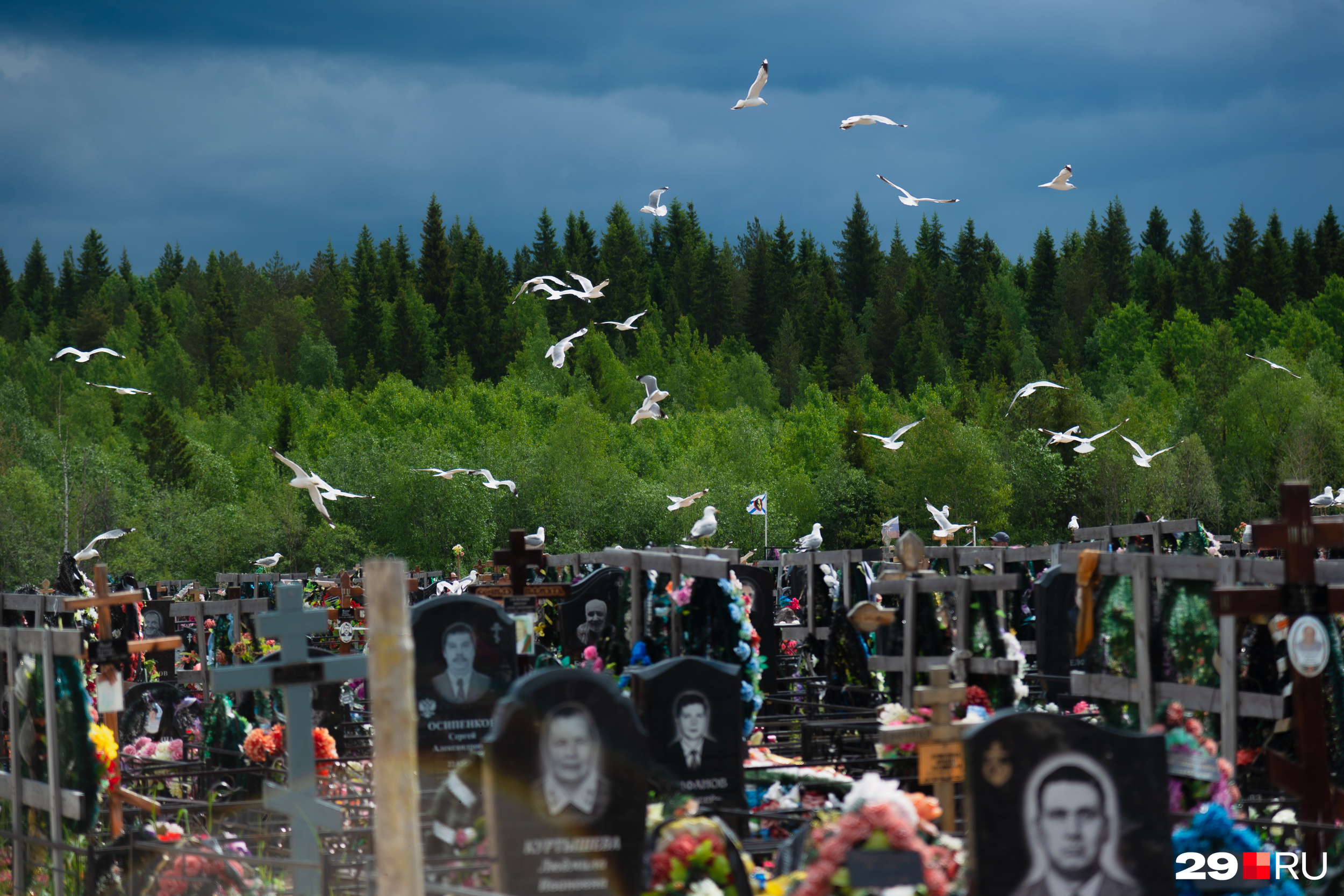 Изменения 17 июля. Кладбище. Огромное кладбище. Украинские кладбища. Свежие кладбища в России.