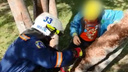7-летний мальчик застрял ногой в дереве рядом со входом в цирк в Новосибирске