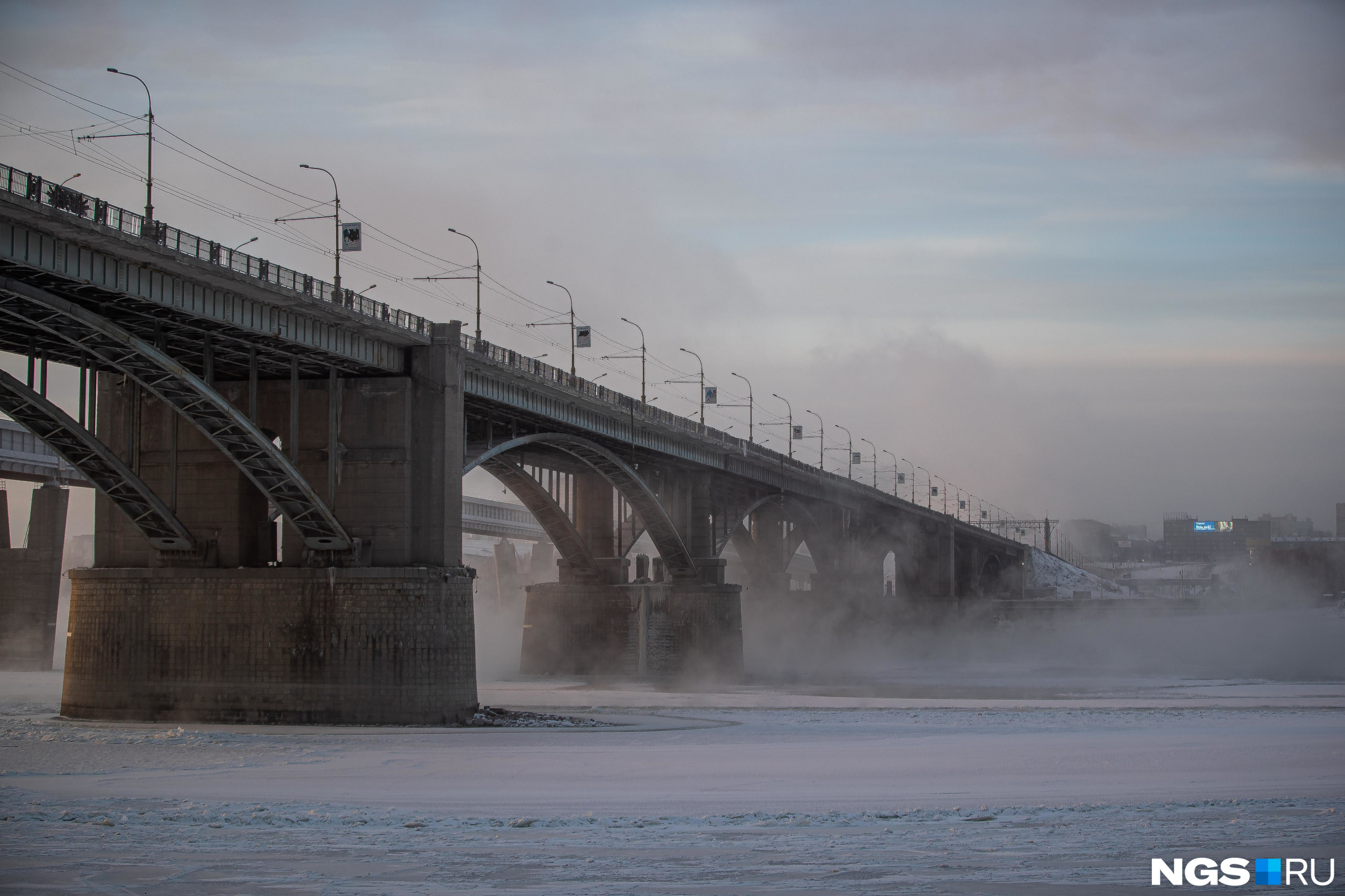 Как сохранить гранат в морозы: советы садоводам
