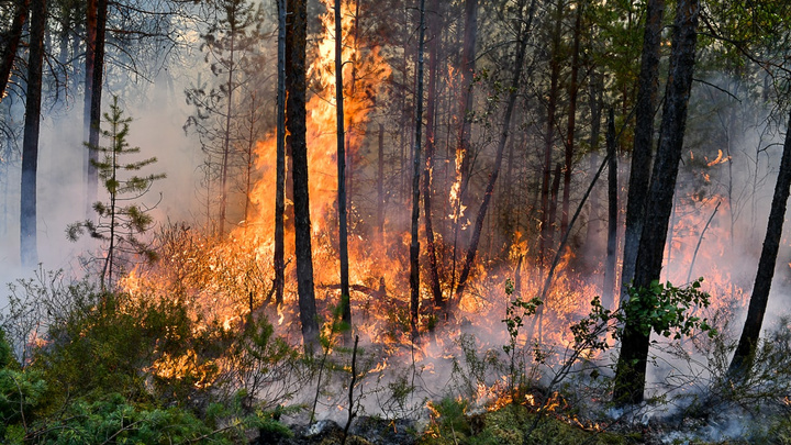 Югра задыхается от лесных пожаров: посмотрите, какой смог окутал города и трассы