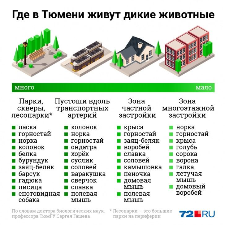 Биологи делят город на несколько зон. Самые удобные для животных — это лесопарки, парки и скверы. Так же хорошо им на пустошах вдоль железной дороги, реки и городских трасс. По этой зоне звери проникают вглубь города вплоть до центра Биологи делят город на несколько зон. Самые удобные для животных — это лесопарки, парки и скверы. Так же хорошо им на пустошах вдоль железной дороги, реки и городских трасс. По этой зоне звери проникают вглубь города вплоть до центра