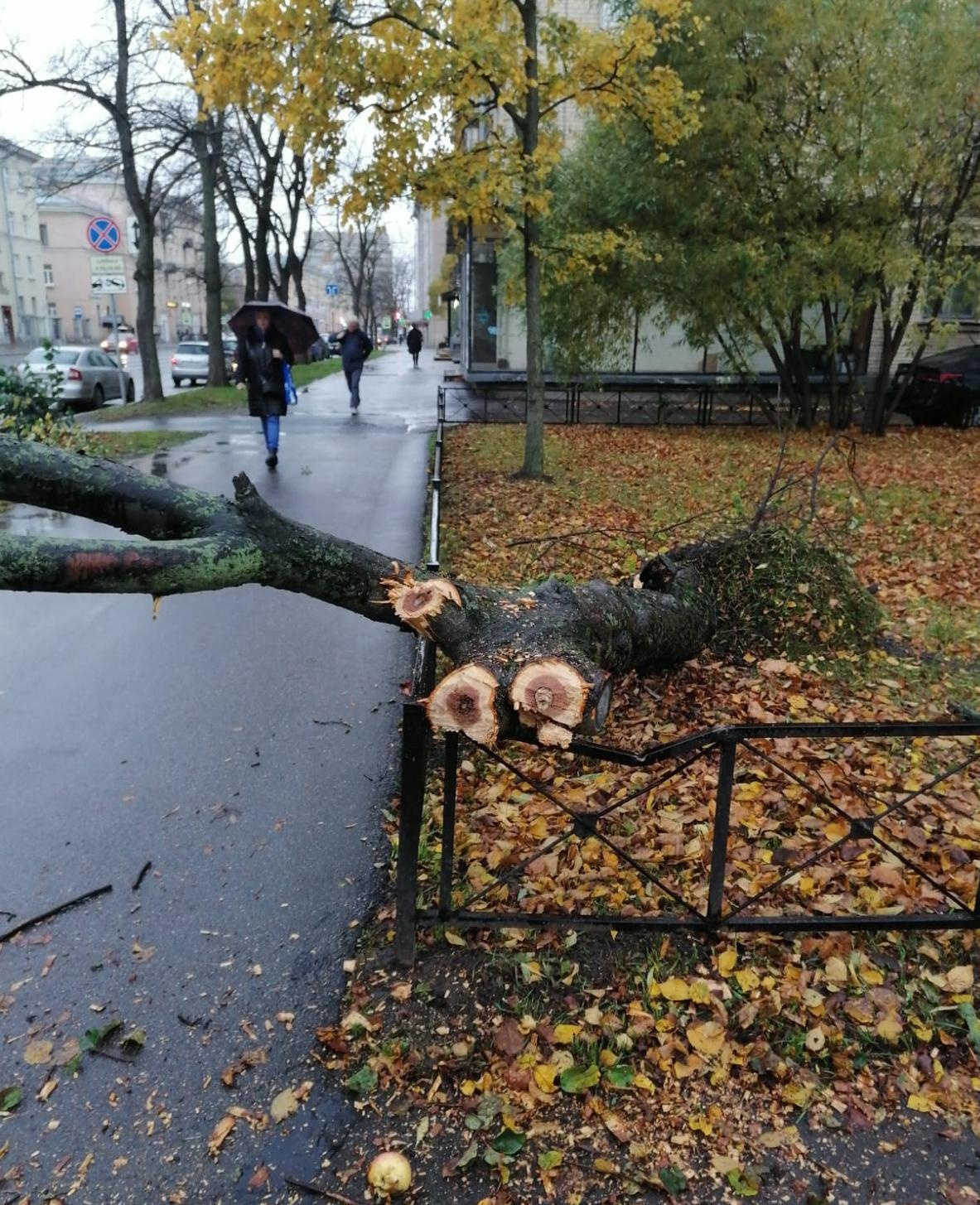 сильный ветер в санкт петербурге