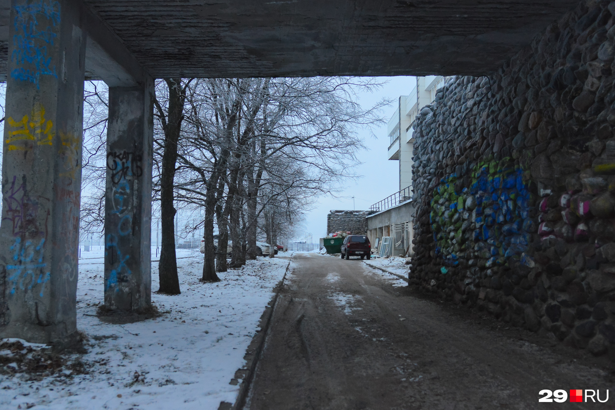 В парке появятся новые ели и сосны В парке появятся новые ели и сосны