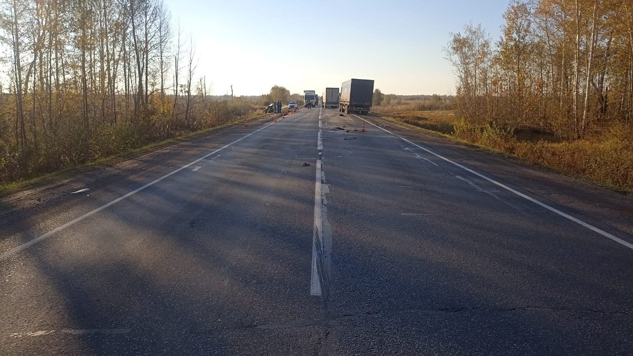 Авария в тюкалинске сегодня на трассе тюкалинск. Авария Тюмень Омск трасса фура. Трасса. Фото на трассе. Фотосессия на трассе.