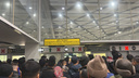 Пассажиры Толмачево встали в огромные очереди на паспортном контроле — ожидание доходит до 3 часов