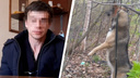 В Северодвинске будут судить мужчину, который повесил собаку. Он объяснил, зачем убил животное