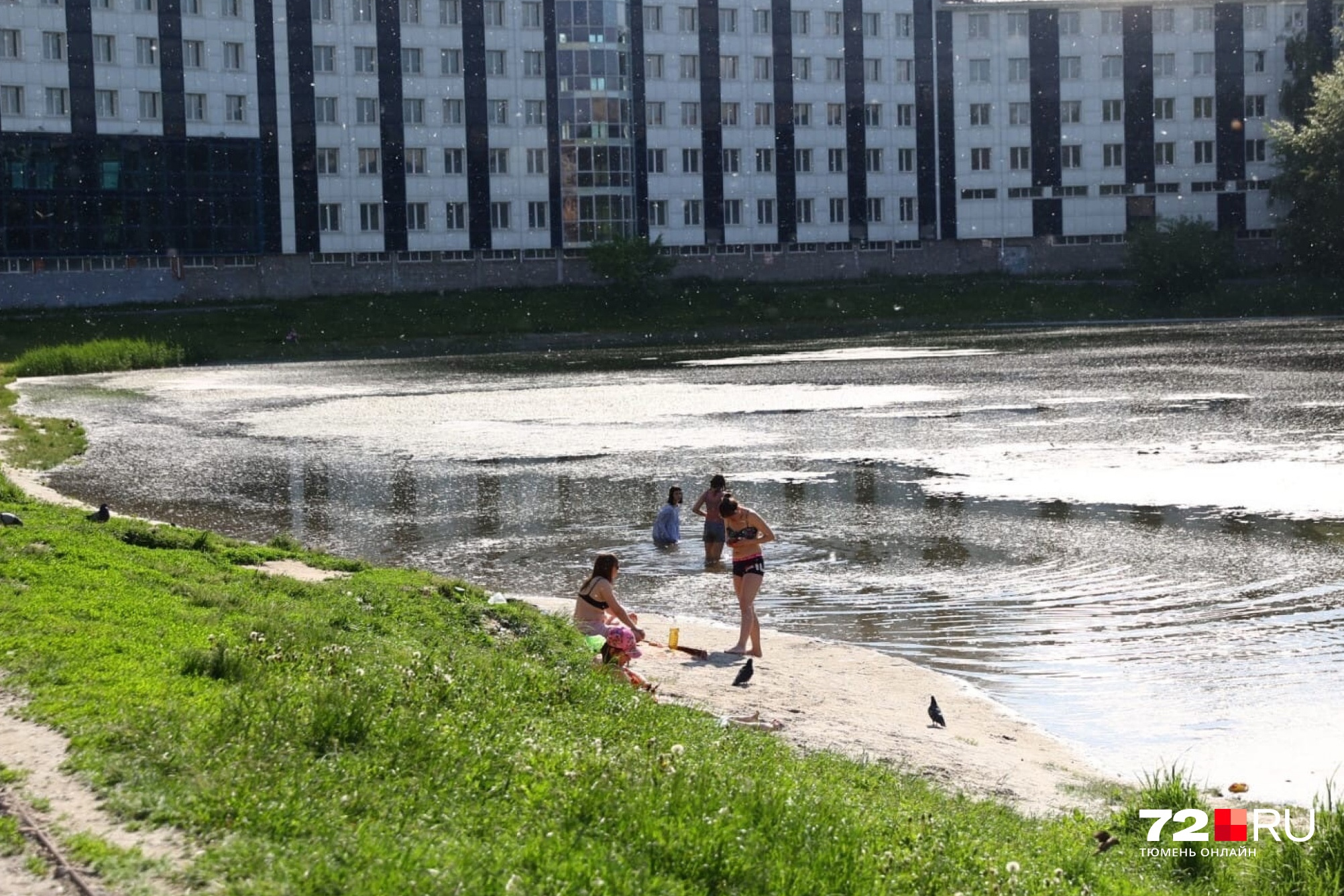 В тюменских водоемах нашли яйца червей и глистов в озере Круглом и пруду Утином обнаружили опасных паразитов, июль 2022 - 22 июля 2022 - 72.ру