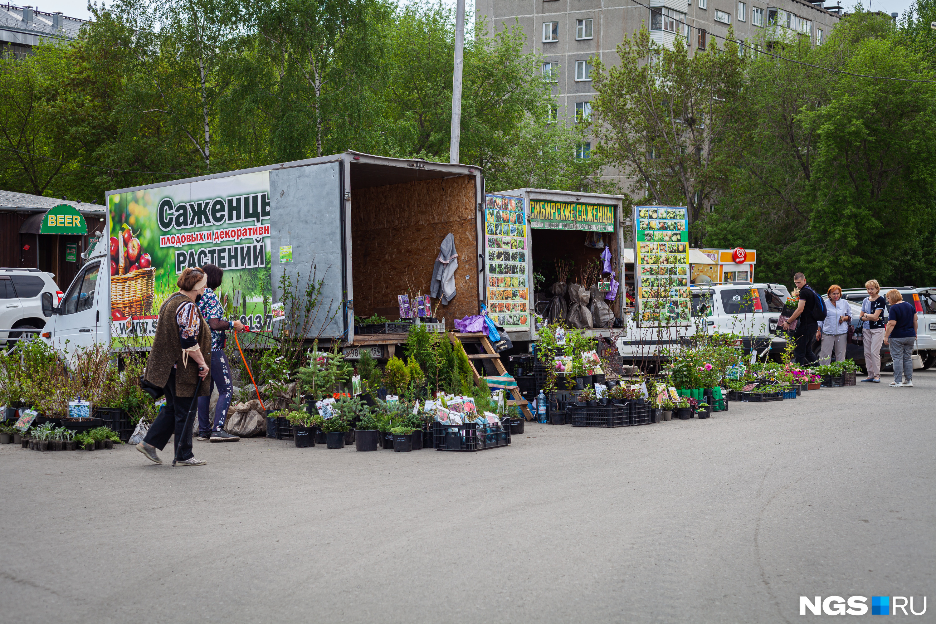 Ярмарки в мае в новосибирске. Садовая ярмарка. Летняя уличная ярмарка.