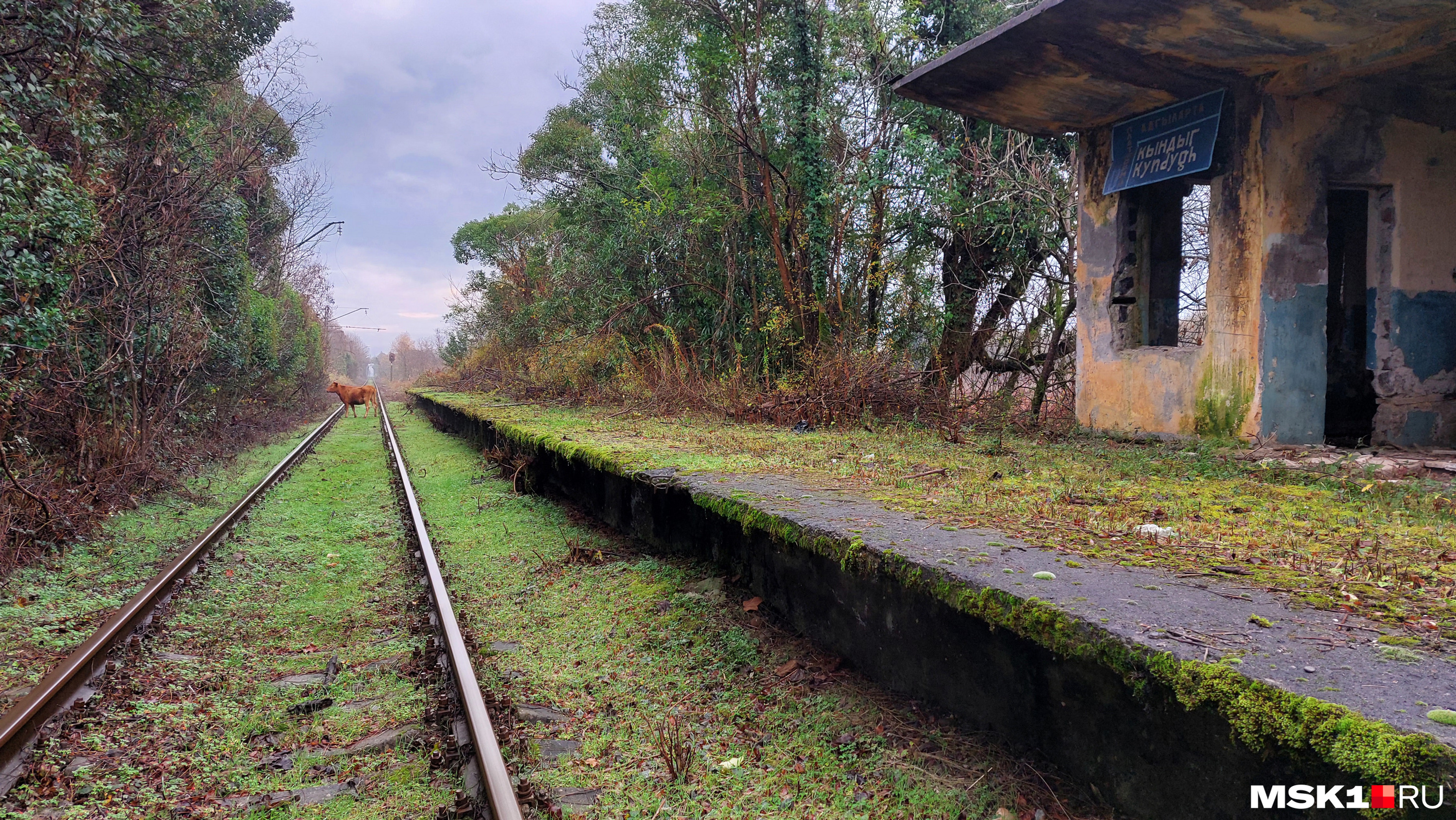 Заброшенная железная дорога, село Кындыг