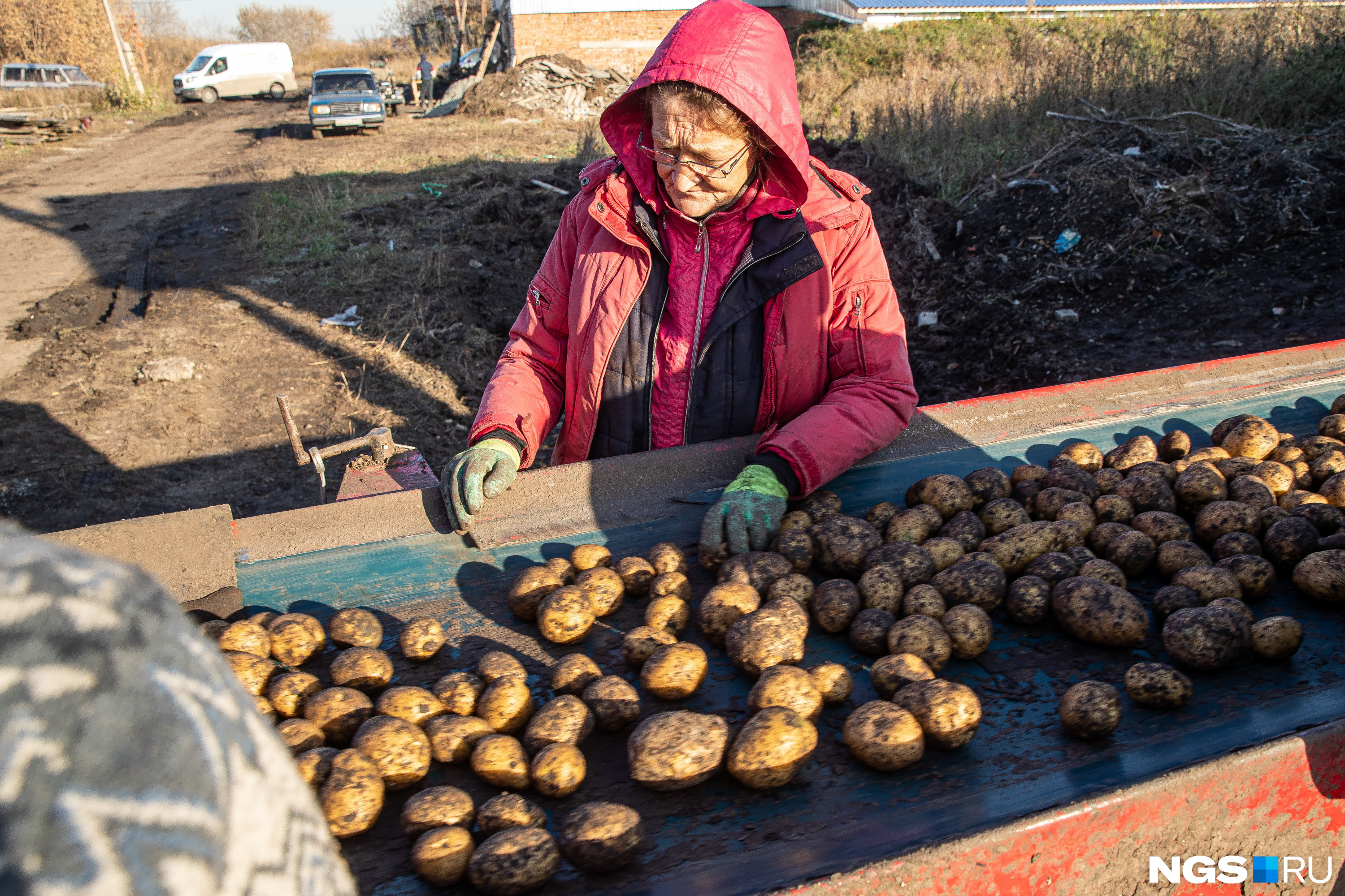Какой сорт картофеля самый вкусный, ранние сорта картофеля, как сажатькартошку, апрель-май 2022 года - 24 апреля 2022 - 74.ru