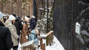 Новосибирский зоопарк ввел на три недели бесплатный вход — кто может им воспользоваться
