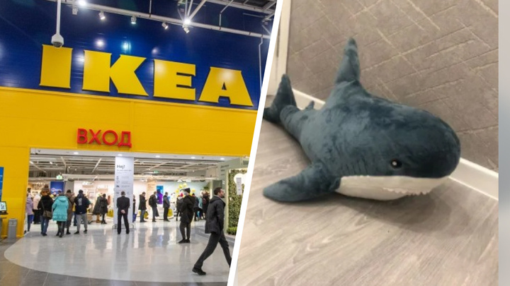 Красноярка продает акулу «Блохэй» из IKEA за миллион рублей