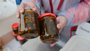 «Для дискотек» и «от варикоза»: какой необычный мед продают на Маргаритинке и сколько он стоит