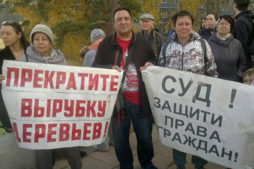По словам Юрия Зимина, некоторым соснам в ельцовском бору более 100 лет По словам Юрия Зимина, некоторым соснам в ельцовском бору более 100 лет