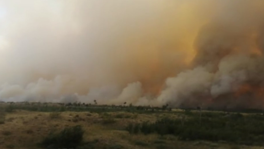Жара и ветер вызвали пожары в Ростовской области. Горит лес и дома: видео