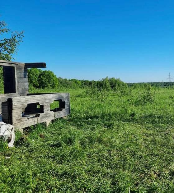 СК опубликовал фотографию с места преступления СК опубликовал фотографию с места преступления