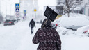 Праздничные снегопады: какая погода будет в Поморье в первые дни 2023 года