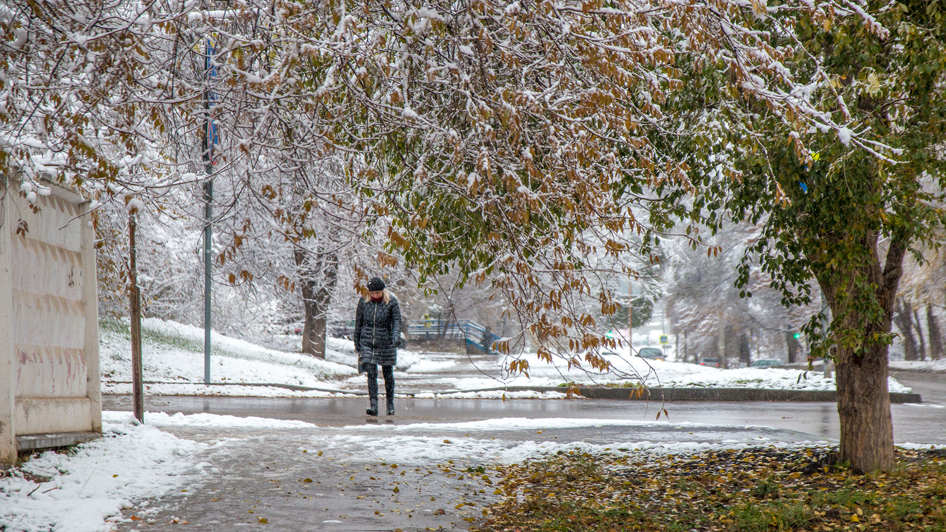 Дождь сменился снегом: в Самарской области выпало рекордное количество осадков