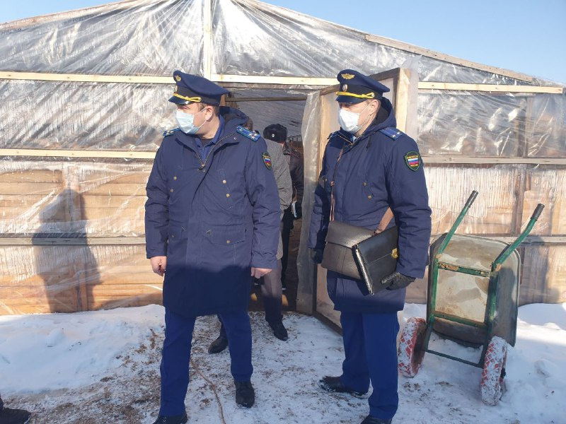 К теплицам прибыли прокурор области и прокурор района К теплицам прибыли прокурор области и прокурор района