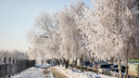 Морозы до -25 градусов: изучаем прогнозы погоды популярных сервисов на рабочую неделю