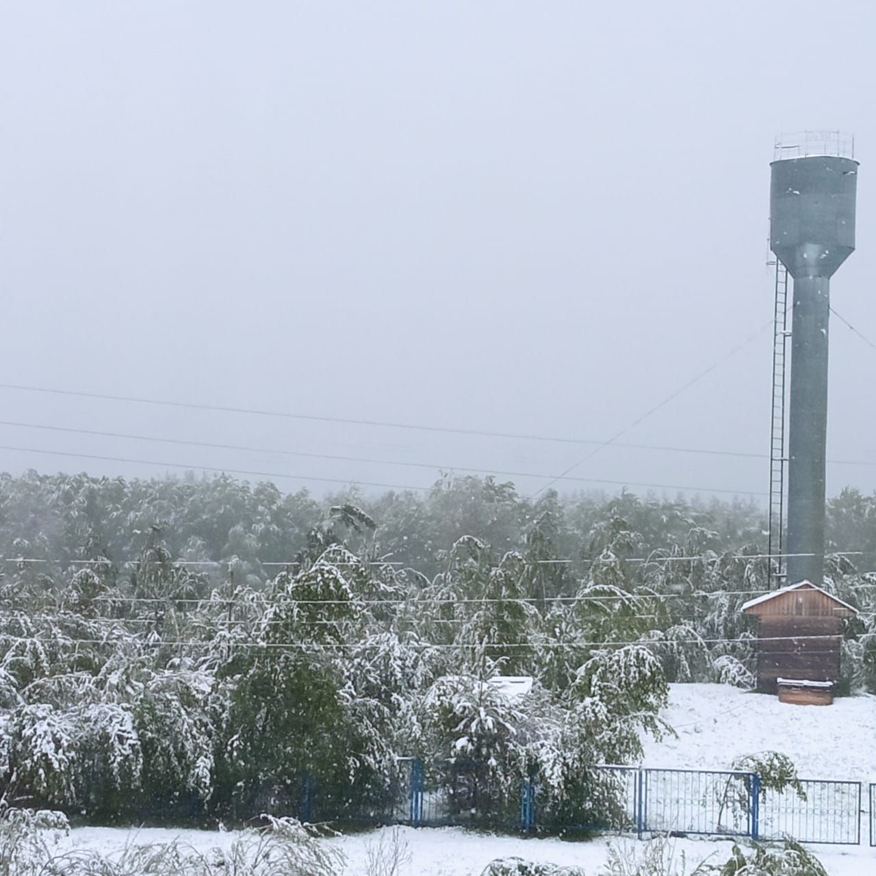 Снимок сделан в поселке Клюквинка Снимок сделан в поселке Клюквинка