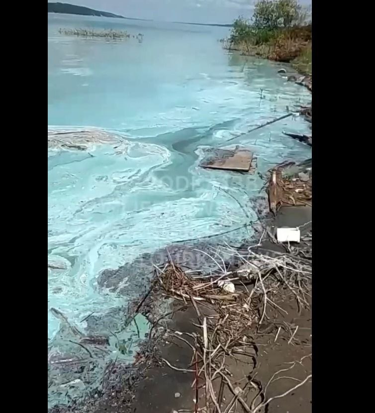 Эксперты выявили точную причину бирюзового цвета Ангары в Черемховском районе. Загрязнений там не нашли Эксперты выявили точную причину бирюзового цвета Ангары в Черемховском районе. Загрязнений там не нашли