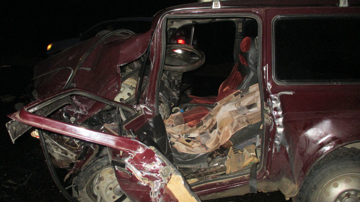 Водителя пытались привести в чувство: в Ярославской области на трассе произошло смертельное ДТП