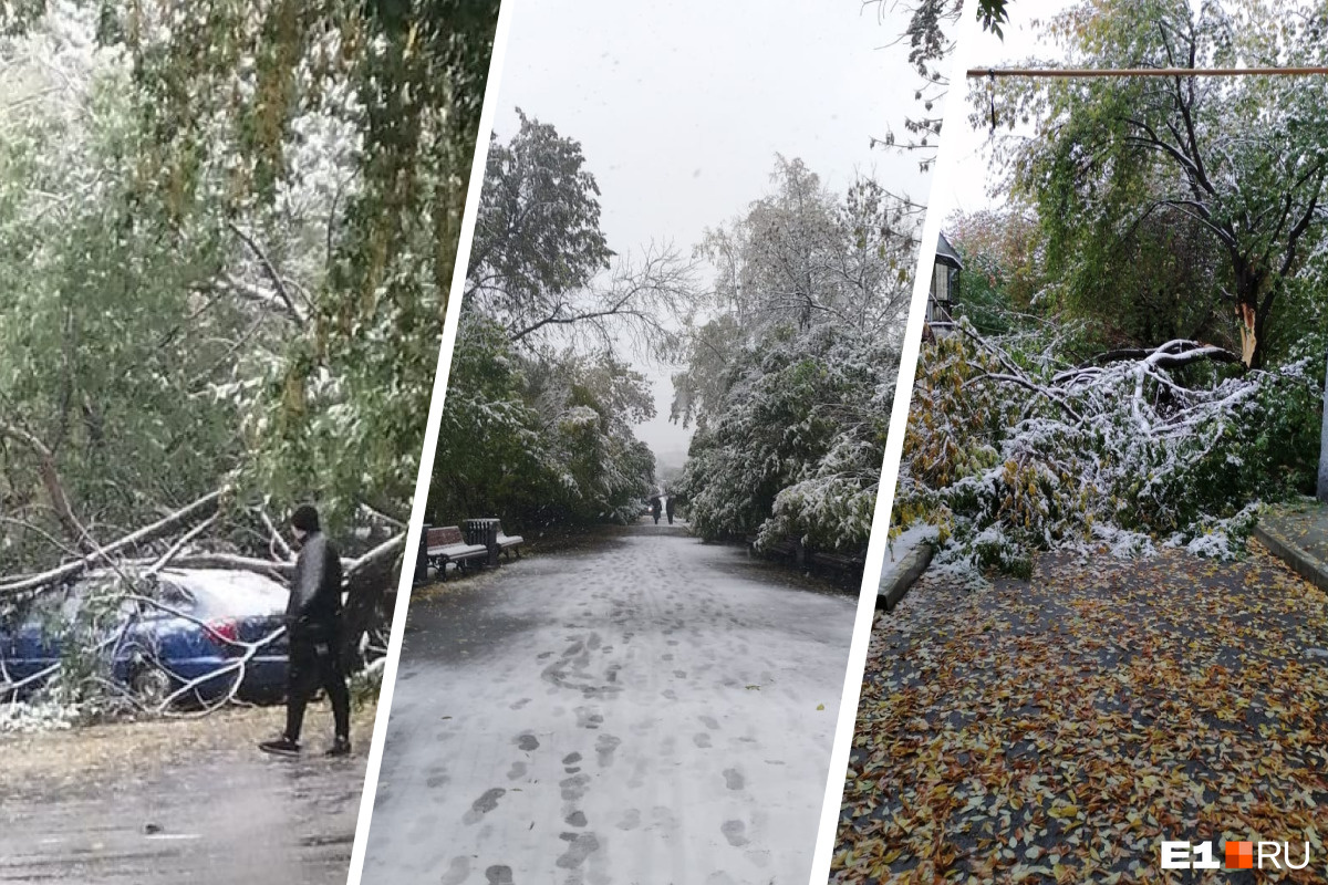 Сломанные деревья, разрушенные авто и заваленные снегом улицы: во что превратился Екатеринбург за один день снегопада