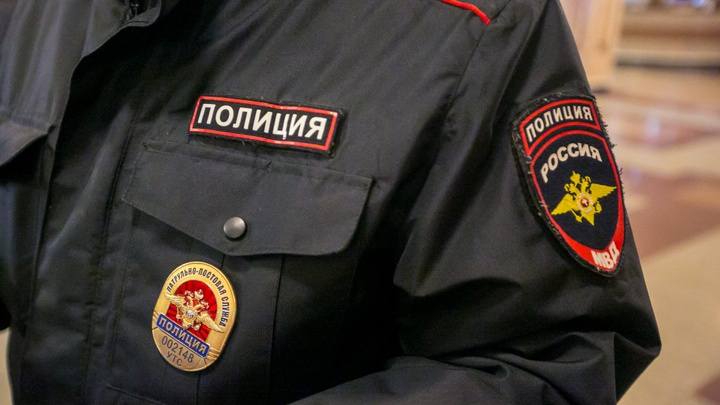 Мужчина на глазах у детей забил щенка насмерть в Красноярском крае. Полиция отказала в возбуждении уголовного дела