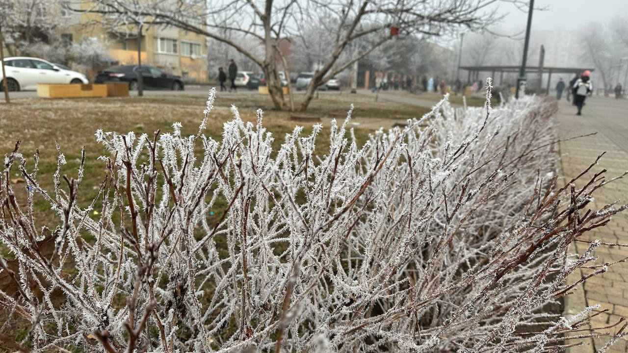 Температуры рухнут до −3 °С. МЧС предупреждает о заморозках на Кубани