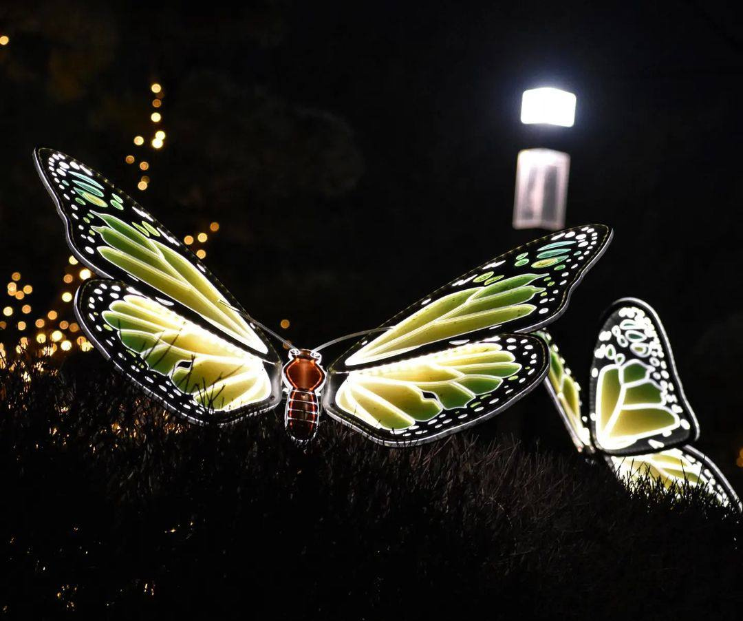 Бабочки светятся со всех сторон