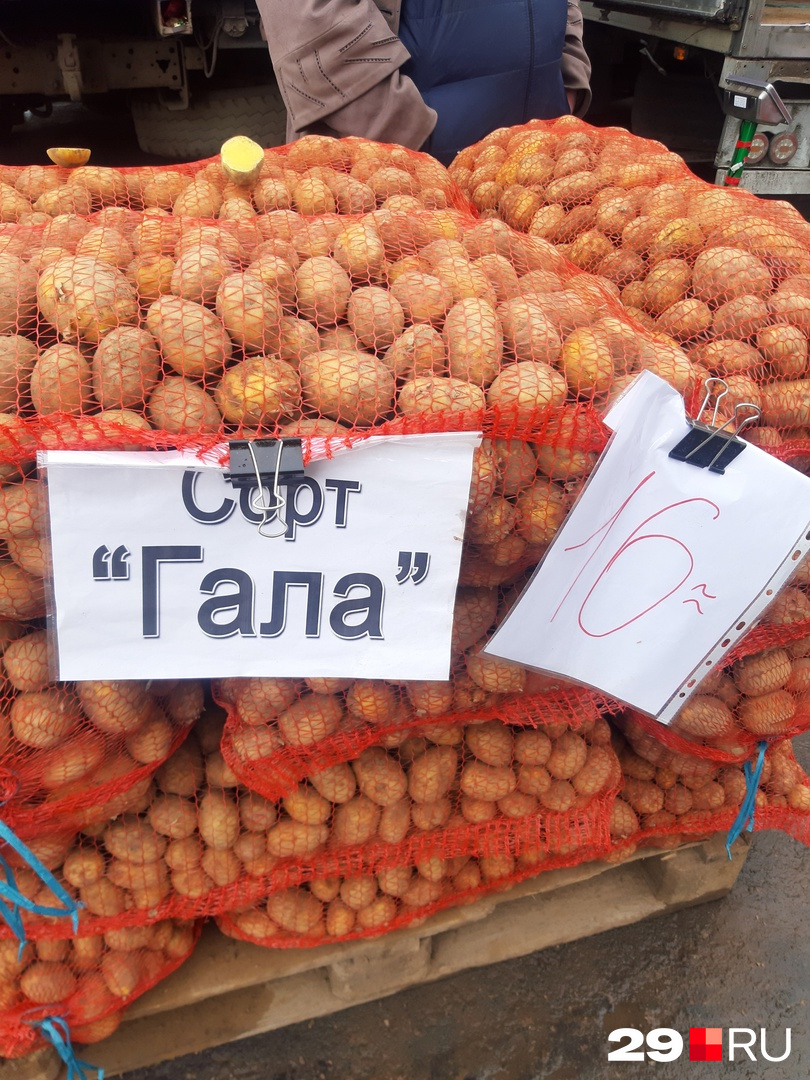 Победитель нашей публикации — картофель «гала» из Кехты. 16 рублей за килограмм