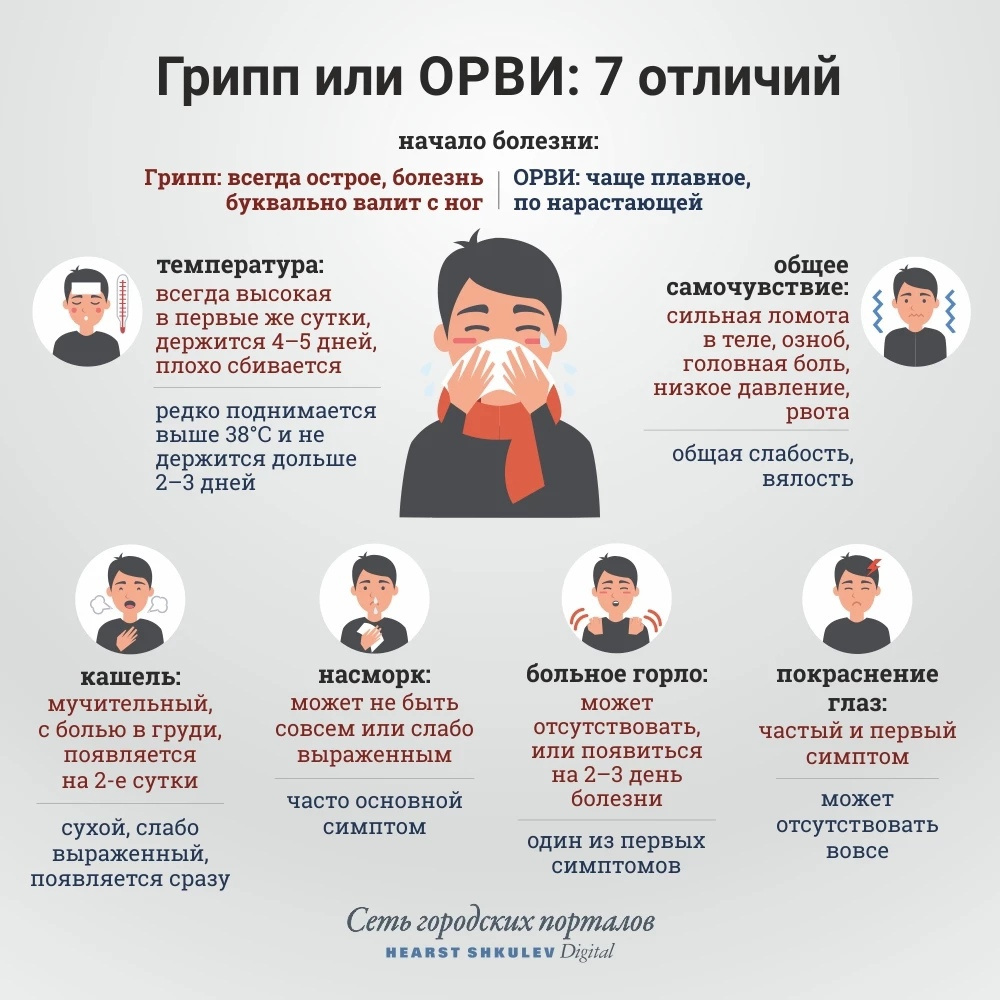 Чем простуда отличается от ОРВИ или гриппа: как отличить грипп от ОРЗ и  ОРВИ - 27 ноября 2021 - 29.ru