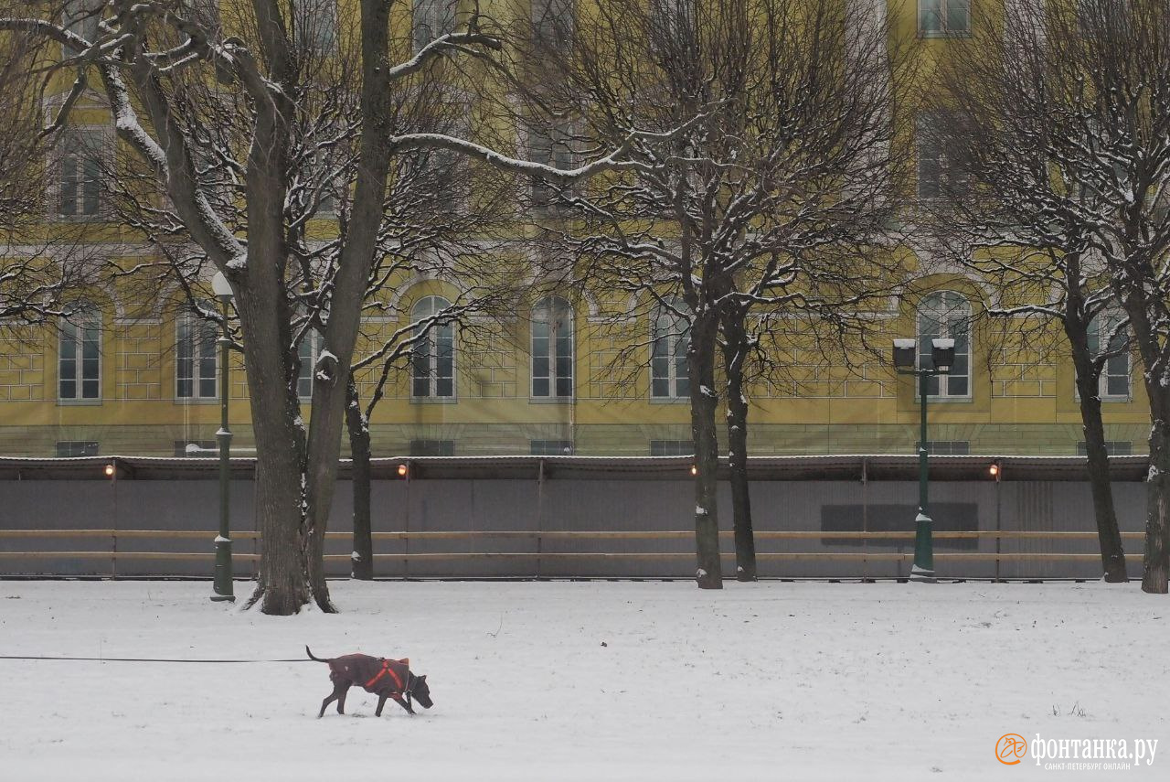 Пришла «Анника» и высыпала снег. Петербург заметёт
