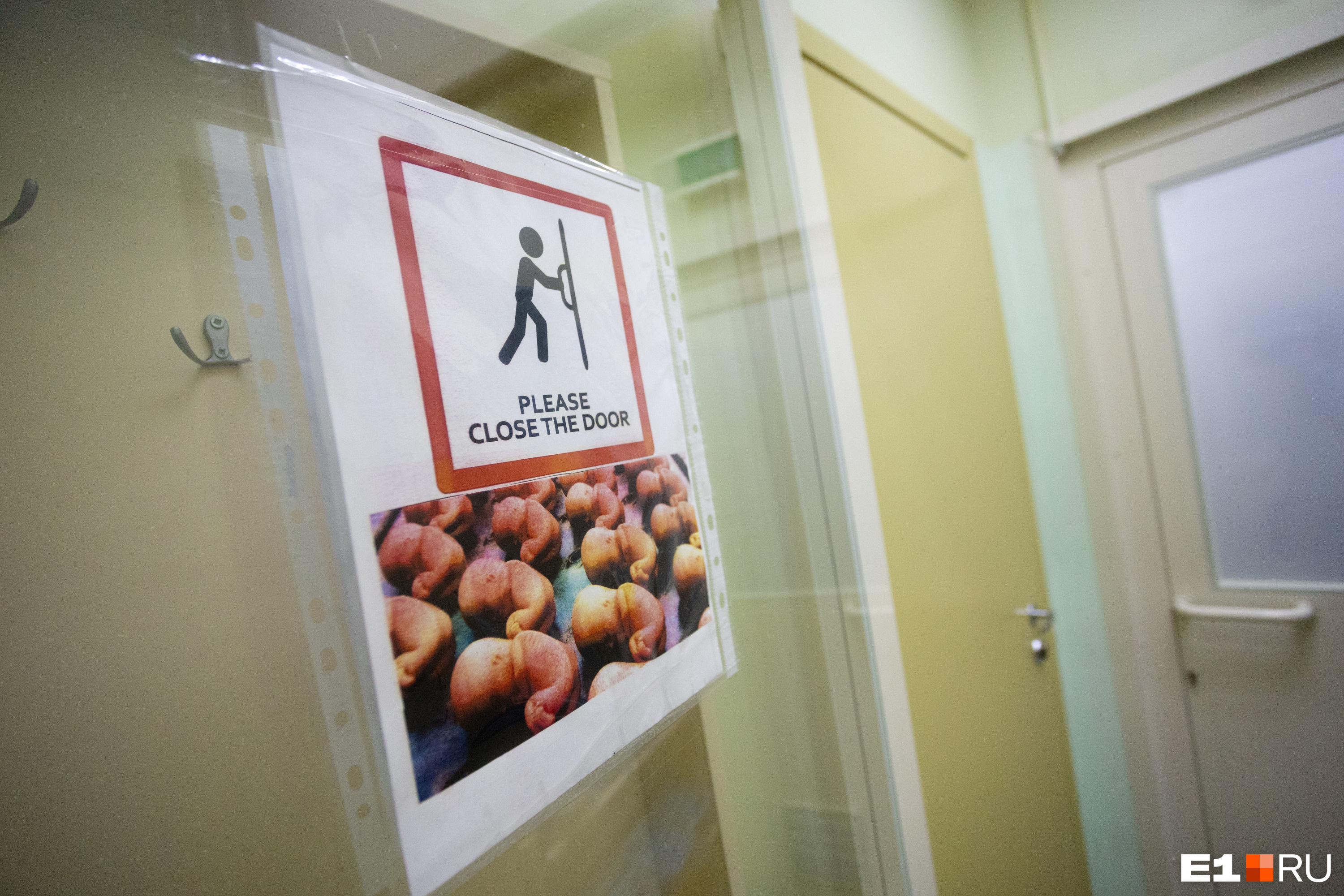 «Бросили клич по диаспорам». В Екатеринбурге ищут кавказцев — доноров спермы
