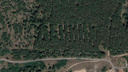 В Самарской области обнаружили загадочную огромную надпись в лесу