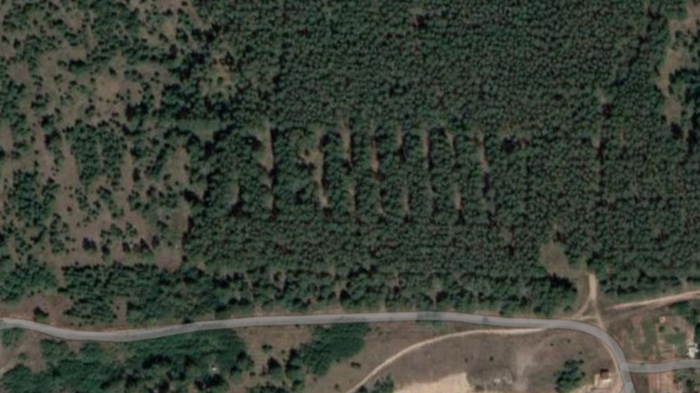 В Самарской области обнаружили загадочную огромную надпись в лесу