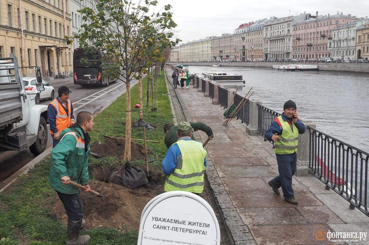 Трансплантация в спб