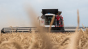Россия остановит поставки зерна партнерам по ЕАЭС. Как это скажется на Ростовской области?