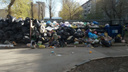 «Крысы пешком ходят»: новосибирцы продолжают жаловаться на переполненные мусорные баки