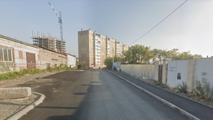 Глава Челябинска отреагировала на нападение бездомных собак на женщину возле строящегося ЖК