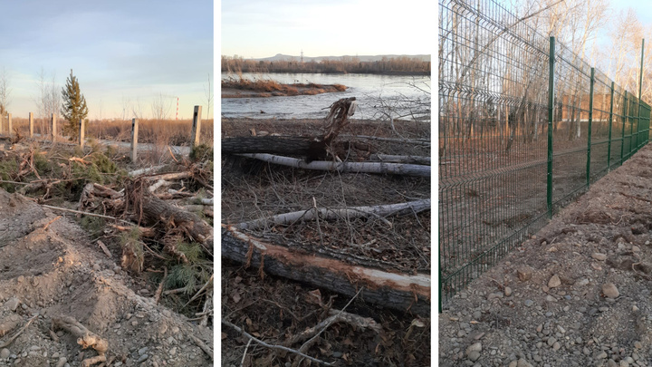 На Татышеве вырубили сотни деревьев, чтобы поменять ограду вокруг водозабора на антитеррористическую