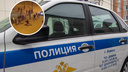 Задержан стрелявший по людям участник жесткой массовой драки в Ачинске