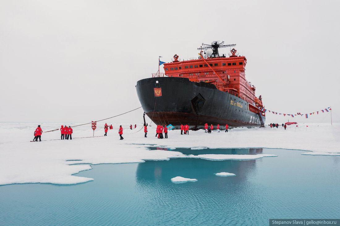 Новосибирский фотограф побывал в круизе на Северном полюсе — 12 впечатляющих кадров