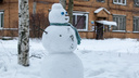 Из тепла — в холода: какая погода будет в Поморье в последнюю неделю января