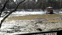 Озеро осушили в Новосибирском зоопарке — зачем и когда его заполнят