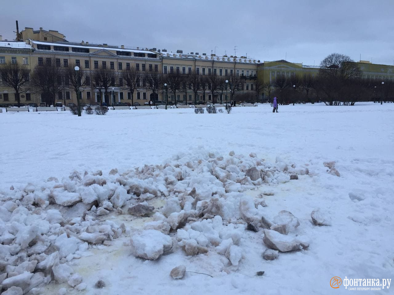 Петербургские садовники убрали за москвичами художественные фекалии с  Марсова поля - 15 января 2022 - ФОНТАНКА.ру