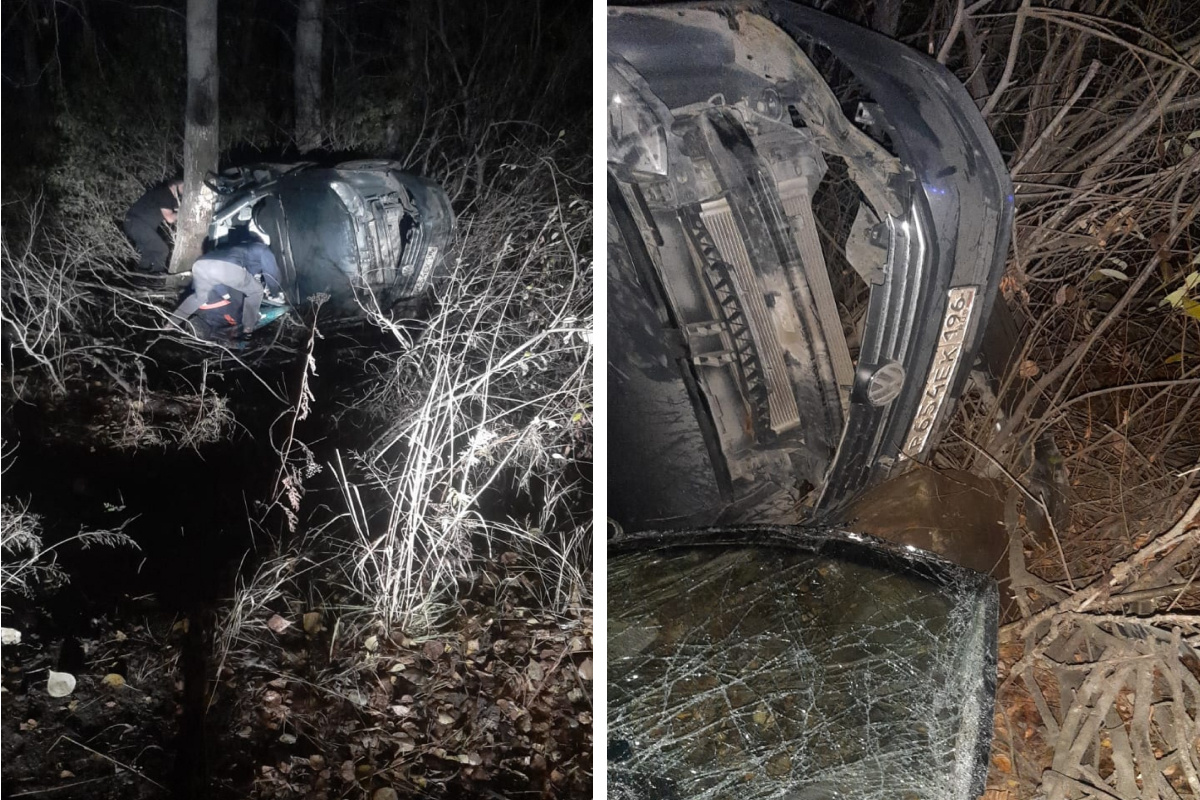 В Екатеринбурге Volkswagen задавил енота и врезался в дерево: водитель получил тяжелые травмы