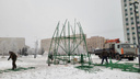В Архангельске начали устанавливать главную новогоднюю елку