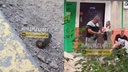 «Изъяли шумовой пистолет»: стрельбу на детской площадке устроила группа новосибирцев